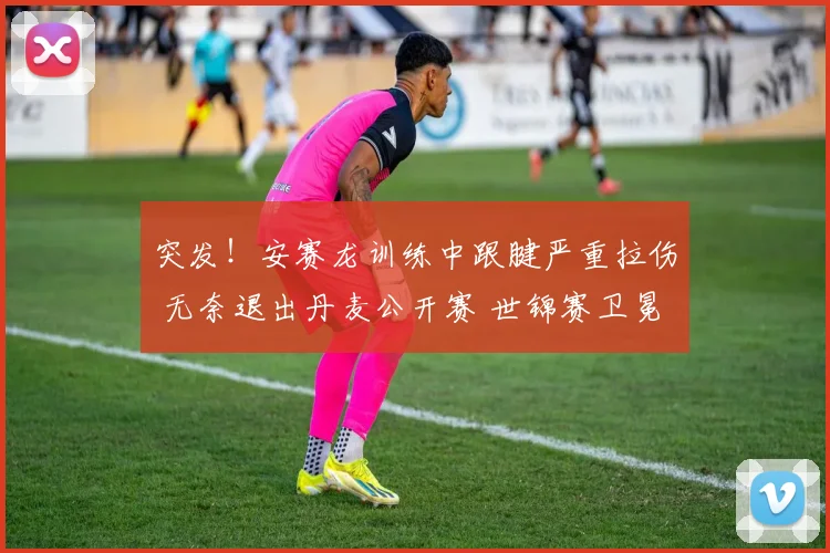 突发！安赛龙训练中跟腱严重拉伤 无奈退出丹麦公开赛 世锦赛卫冕悬念丛生