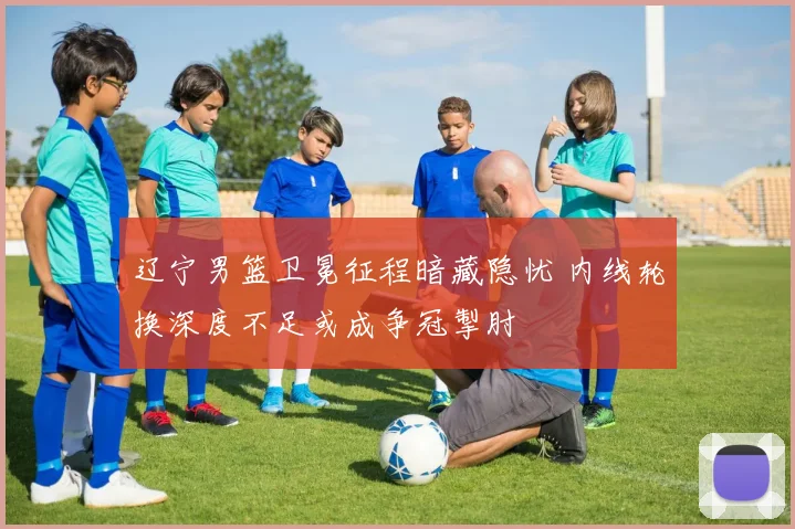 辽宁男篮卫冕征程暗藏隐忧 内线轮换深度不足或成争冠掣肘